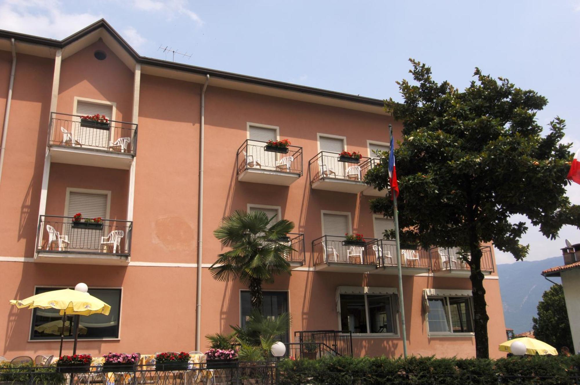 Alberello Riva del Garda